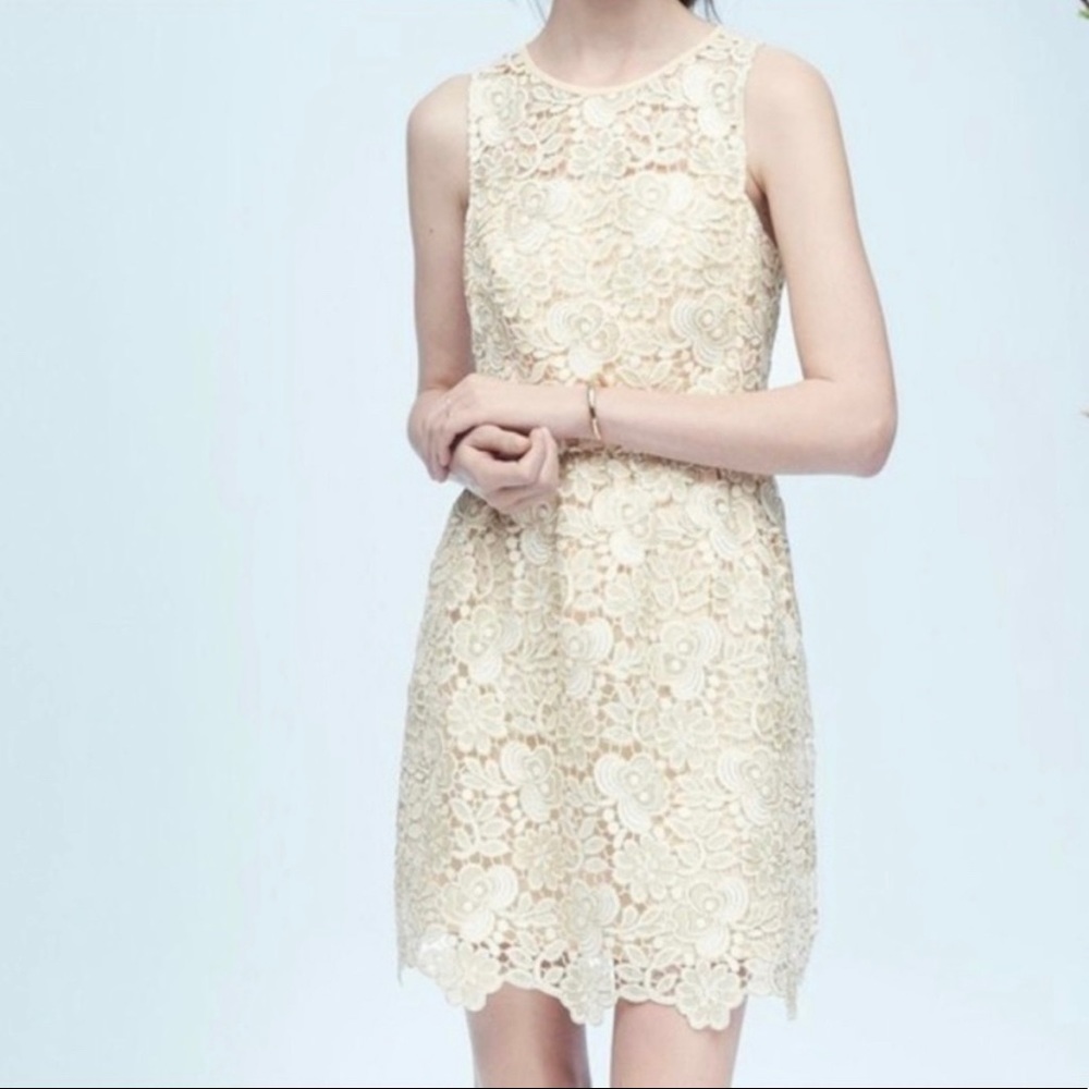 Club Monaco Jayla Lace Dress Size 6